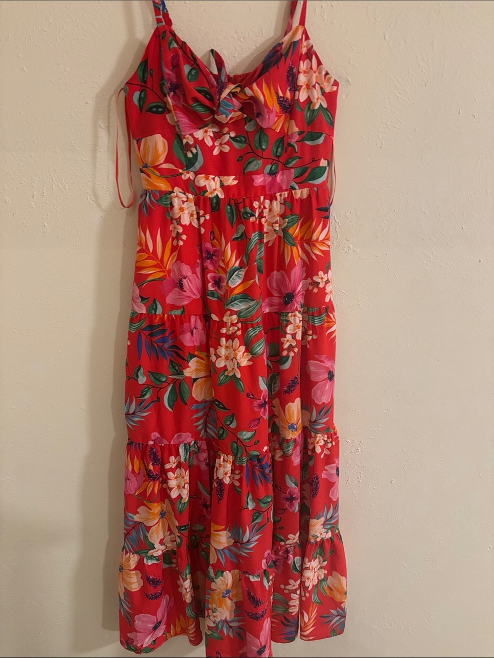 Eliza J Red Floral Maxi Sundress
